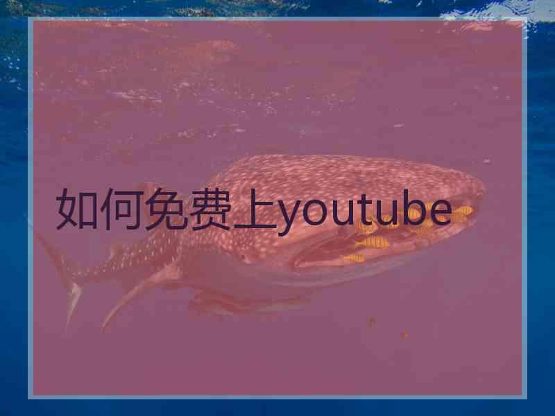 如何免费上youtube