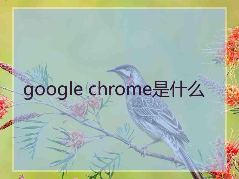 google chrome是什么