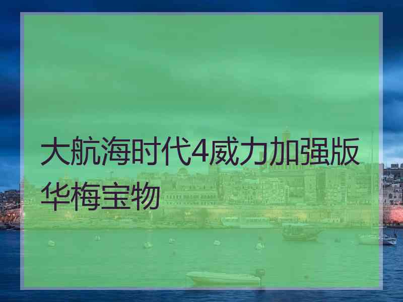 大航海时代4威力加强版华梅宝物