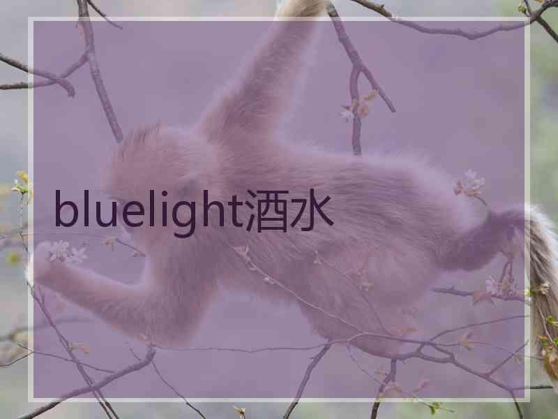 bluelight酒水