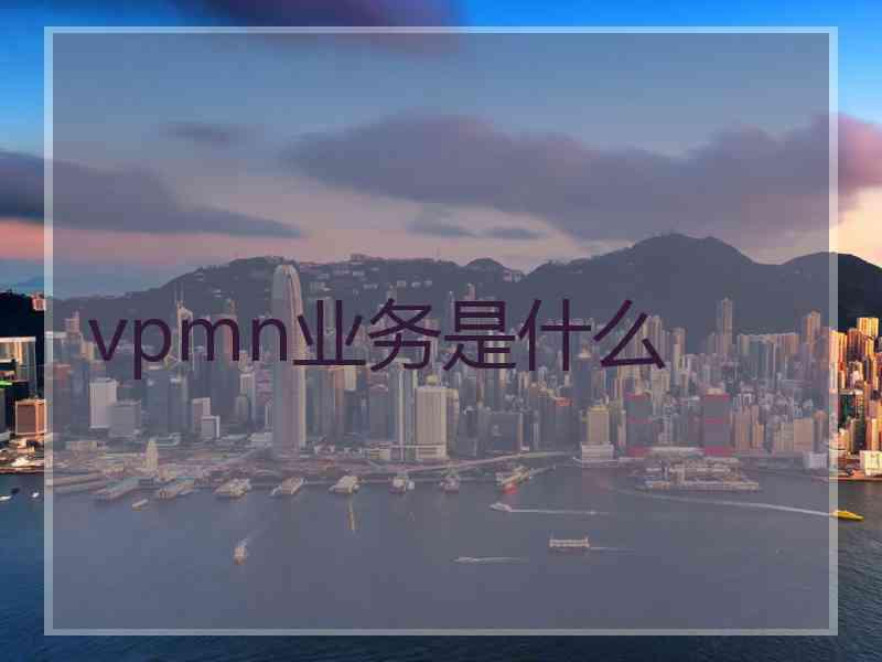 vpmn业务是什么