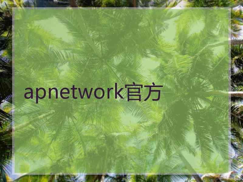 apnetwork官方