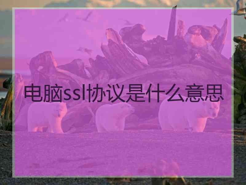 电脑ssl协议是什么意思