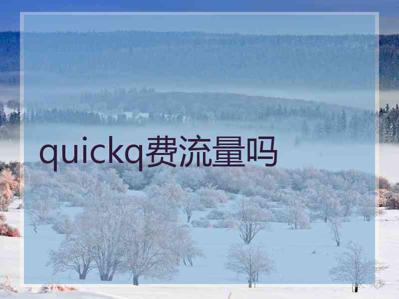 quickq费流量吗