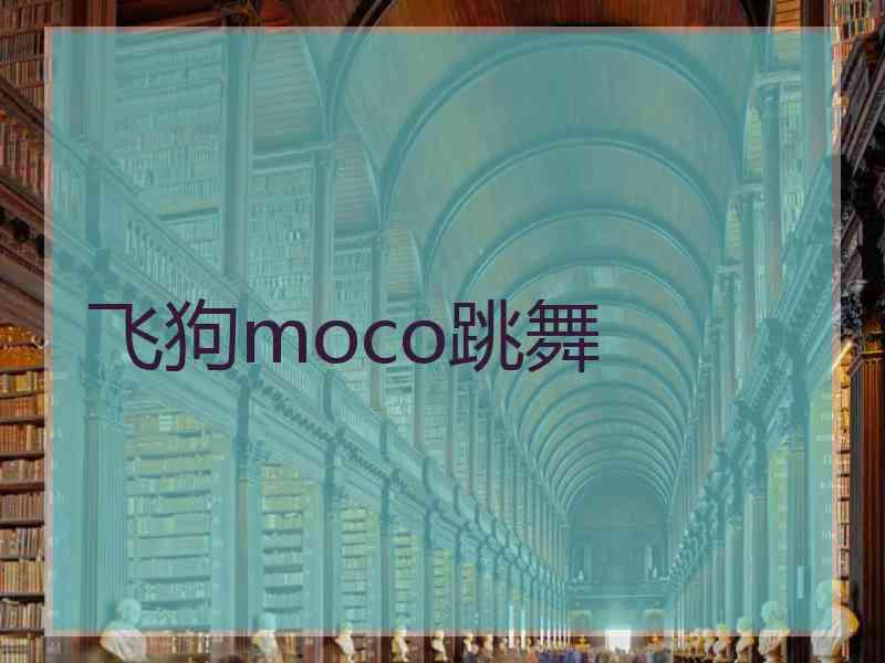 飞狗moco跳舞