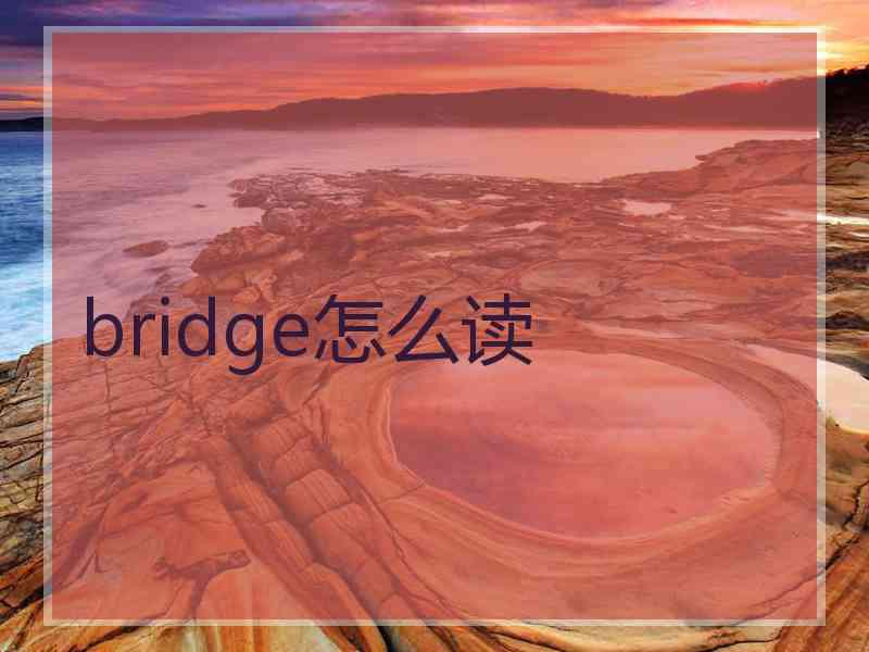 bridge怎么读