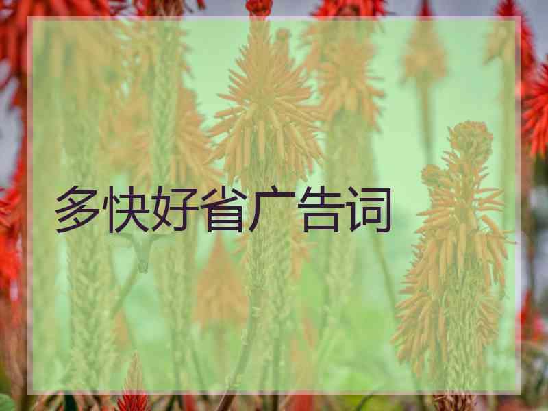 多快好省广告词