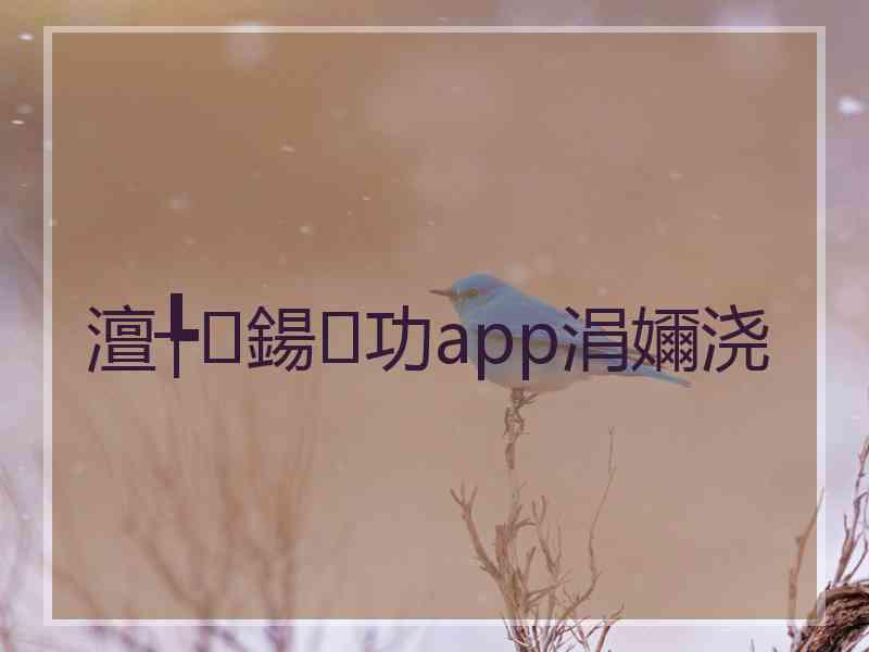 澶╄鍚功app涓嬭浇