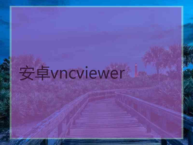 安卓vncviewer