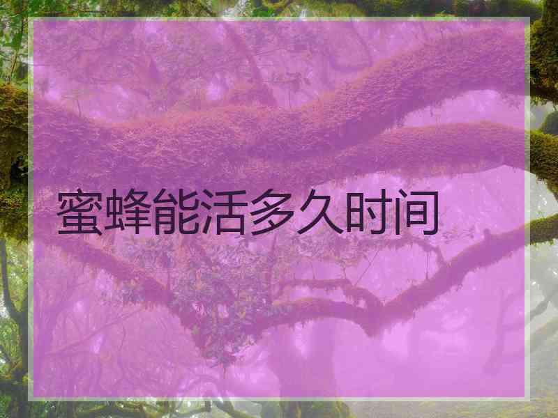 蜜蜂能活多久时间