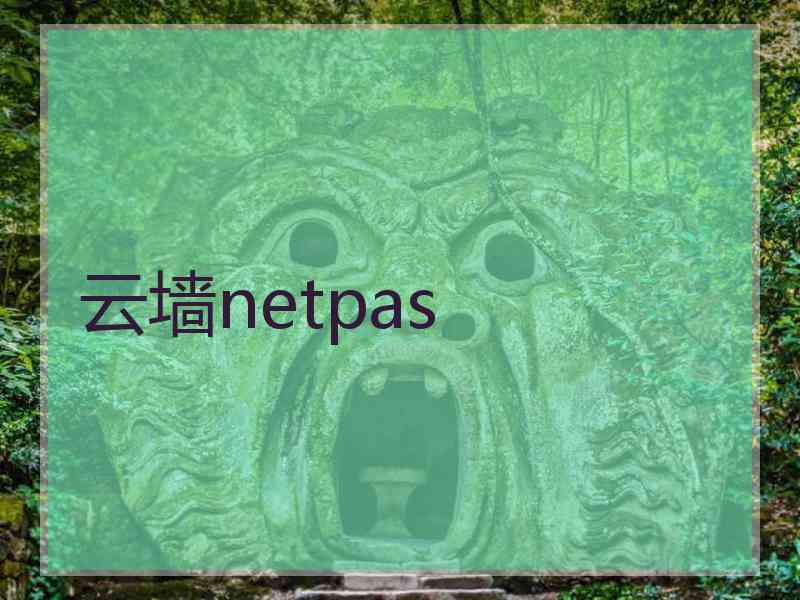 云墙netpas