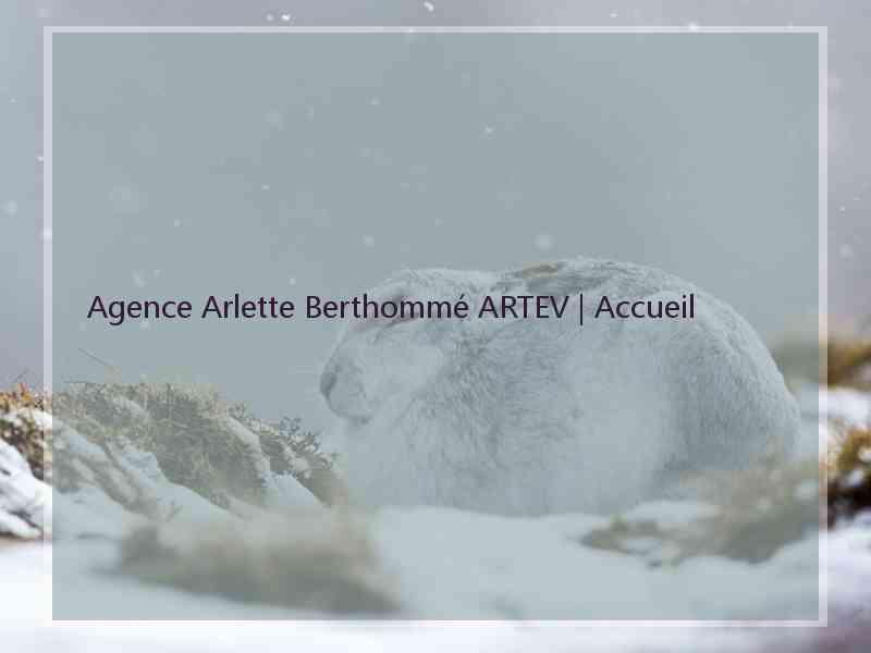 Agence Arlette Berthommé ARTEV | Accueil