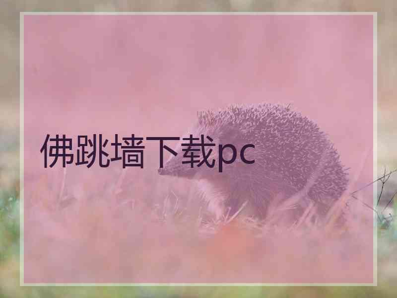 佛跳墙下载pc