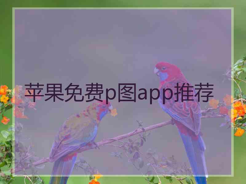 苹果免费p图app推荐