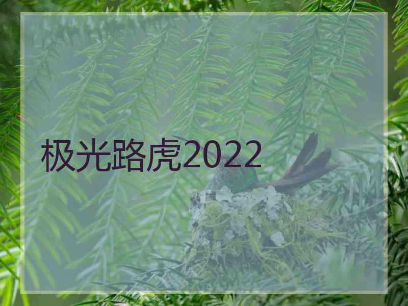 极光路虎2022