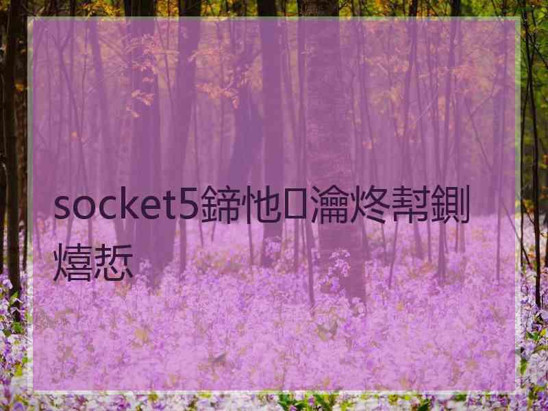 socket5鍗忚瀹炵幇鍘熺悊