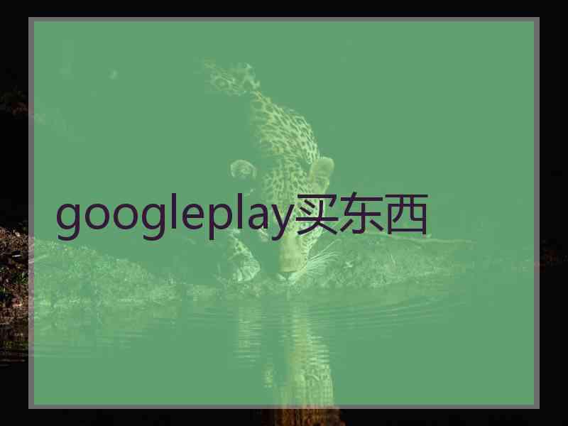 googleplay买东西