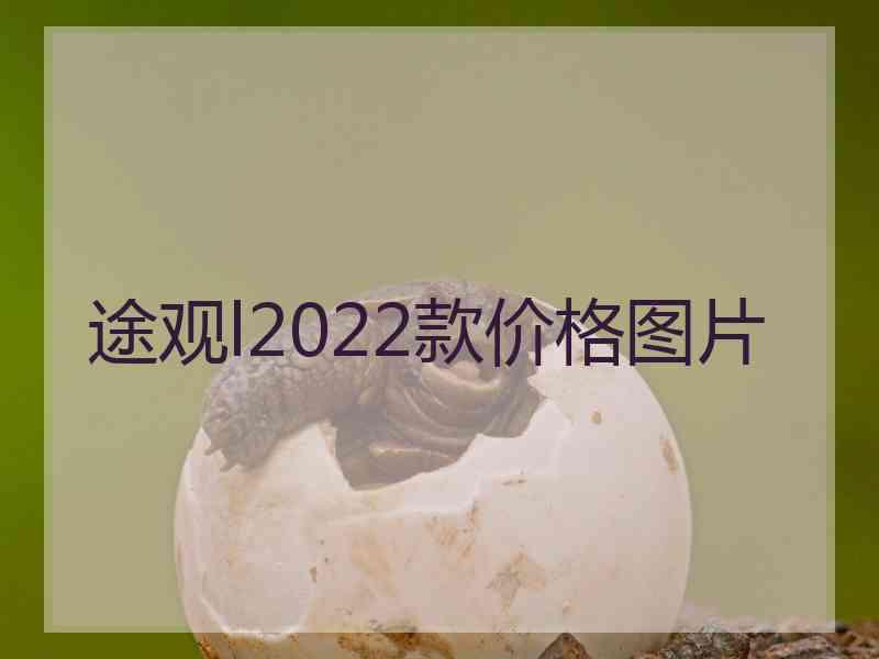 途观l2022款价格图片