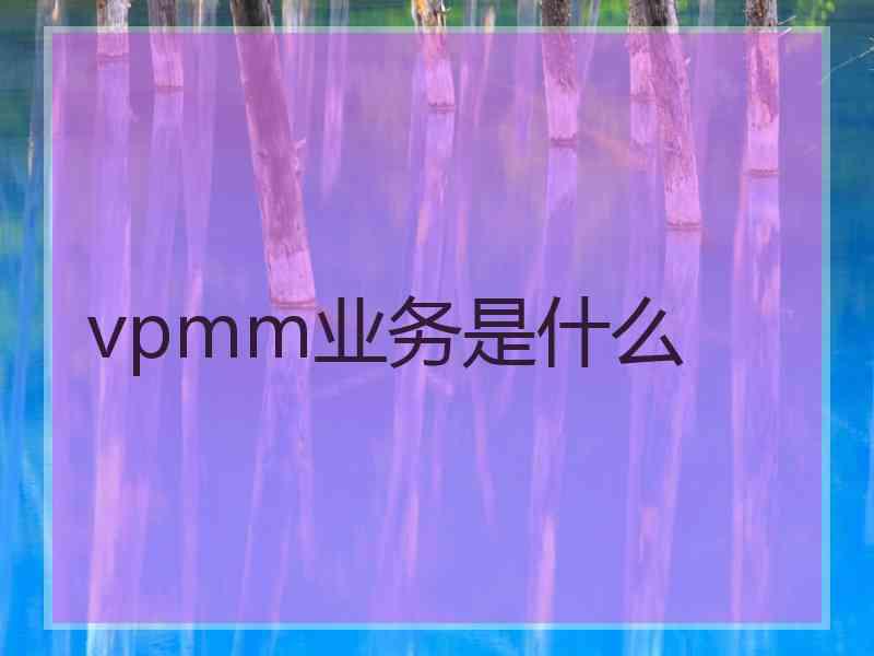 vpmm业务是什么