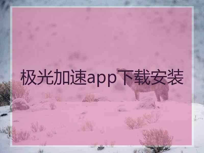 极光加速app下载安装