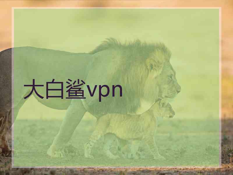 大白鲨vpn