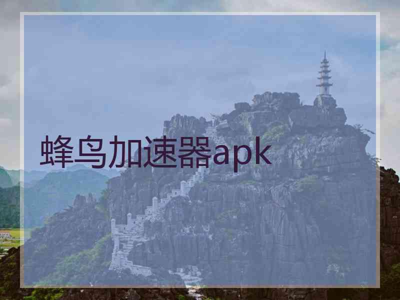 蜂鸟加速器apk