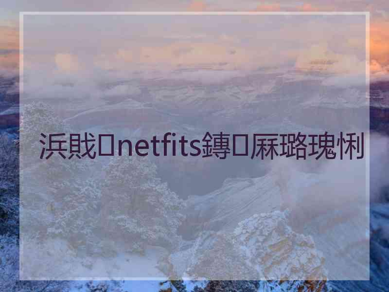 浜戝netfits鏄厤璐瑰悧