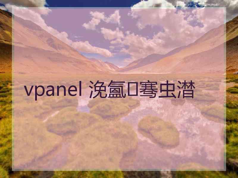 vpanel 浼氳骞虫澘