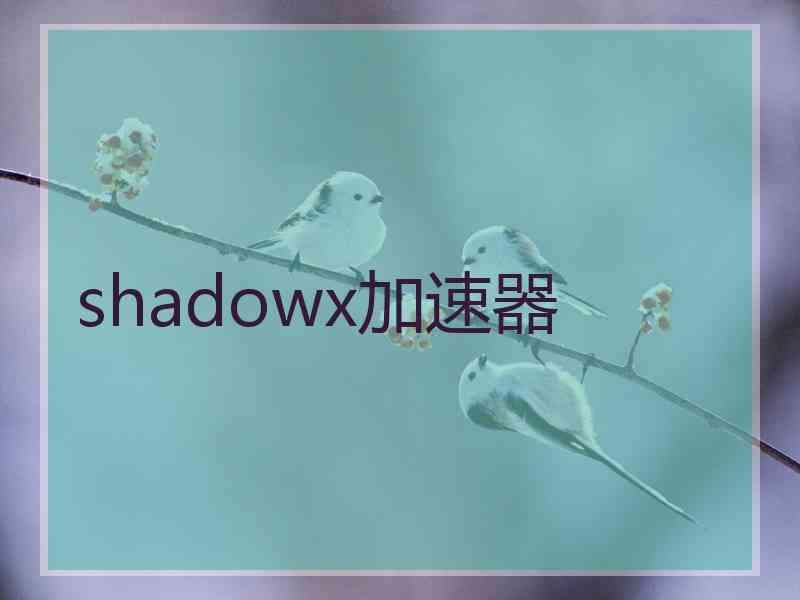 shadowx加速器