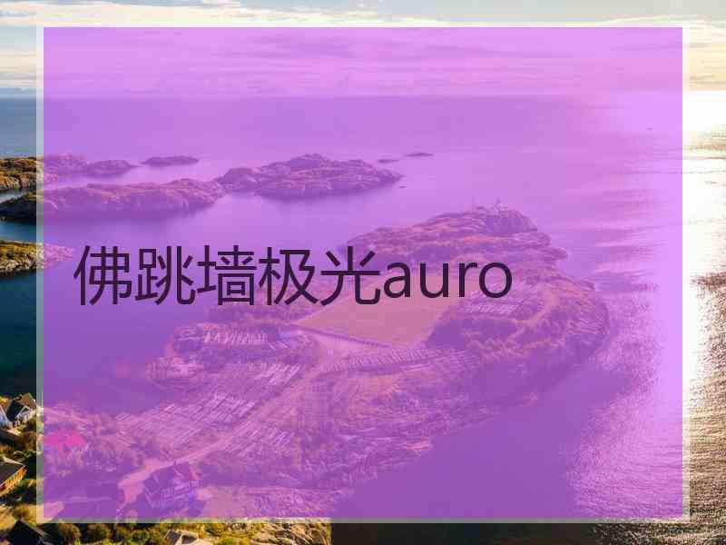 佛跳墙极光auro