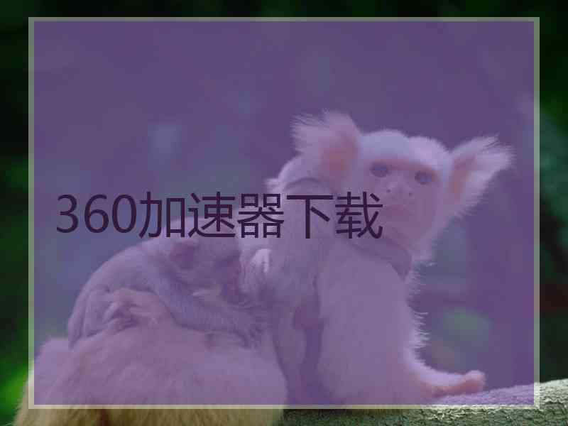 360加速器下载