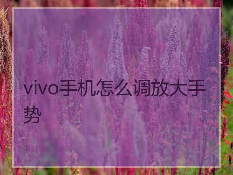 vivo手机怎么调放大手势