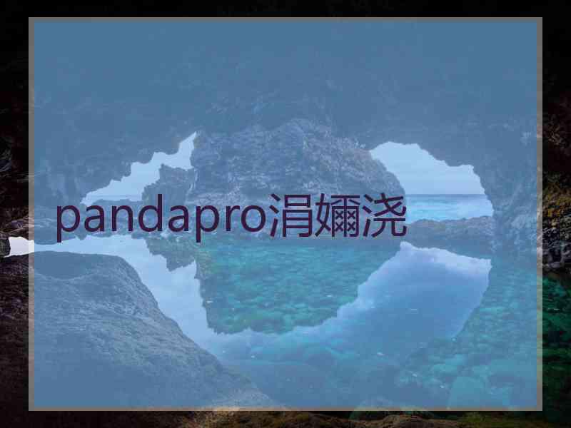 pandapro涓嬭浇