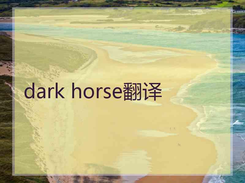 dark horse翻译