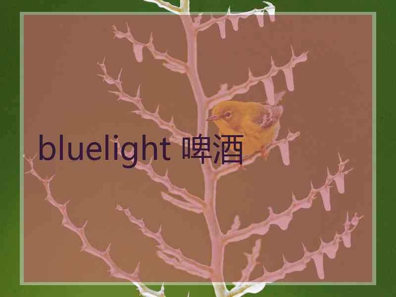 bluelight 啤酒