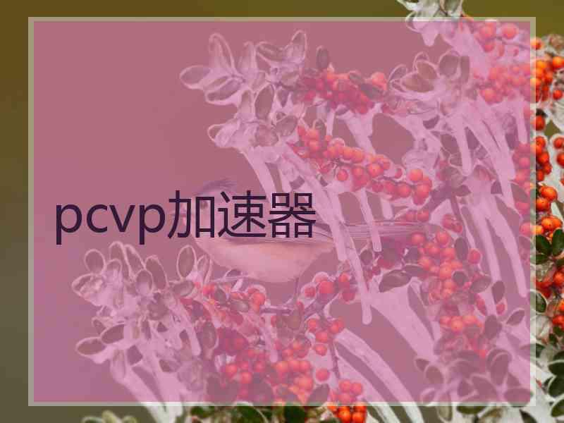 pcvp加速器