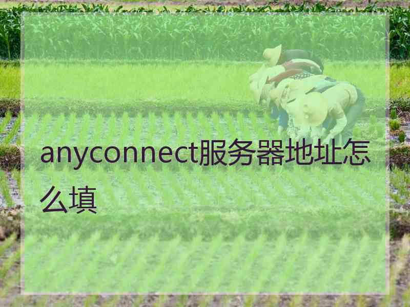 anyconnect服务器地址怎么填