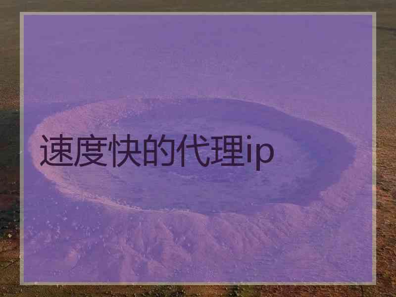 速度快的代理ip