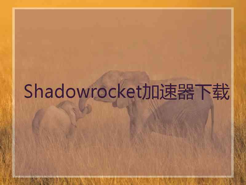 Shadowrocket加速器下载