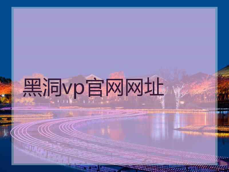 黑洞vp官网网址