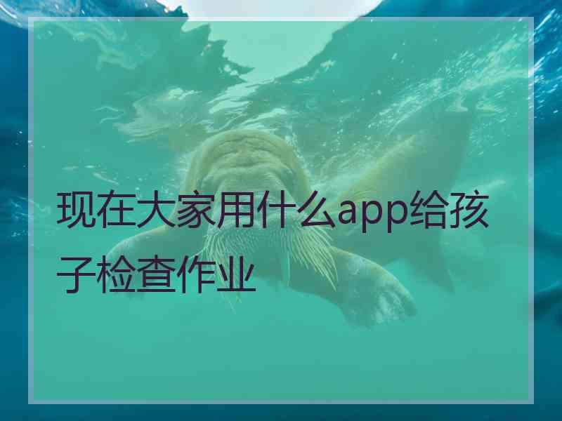 现在大家用什么app给孩子检查作业