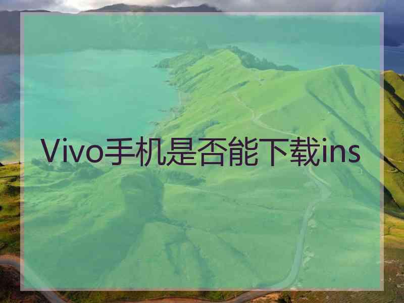 Vivo手机是否能下载ins