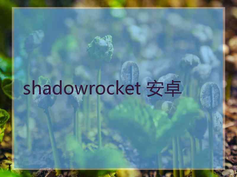 shadowrocket 安卓