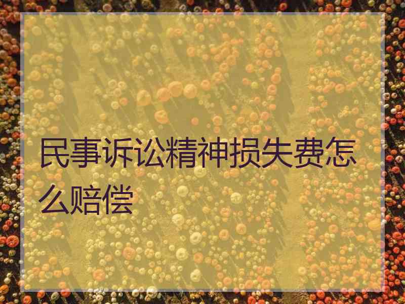 民事诉讼精神损失费怎么赔偿