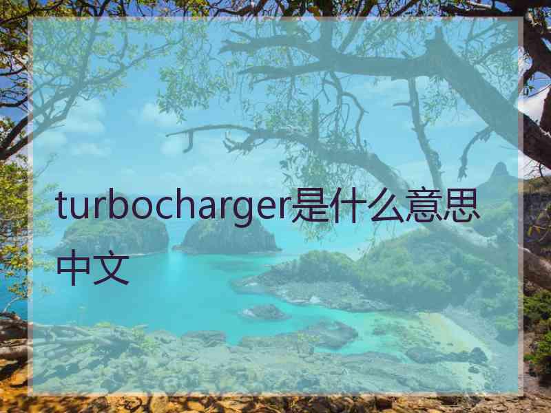 turbocharger是什么意思中文