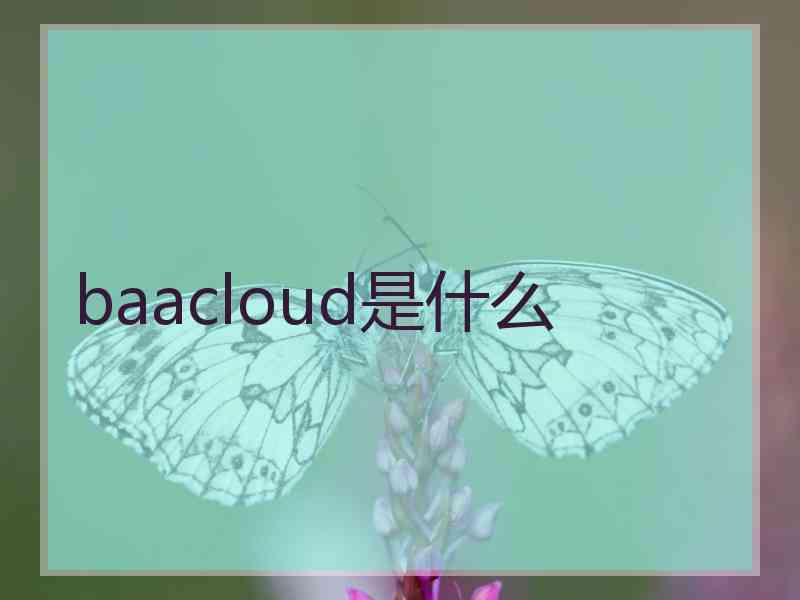 baacloud是什么