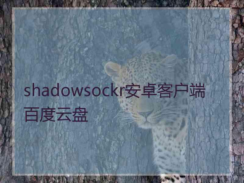 shadowsockr安卓客户端百度云盘