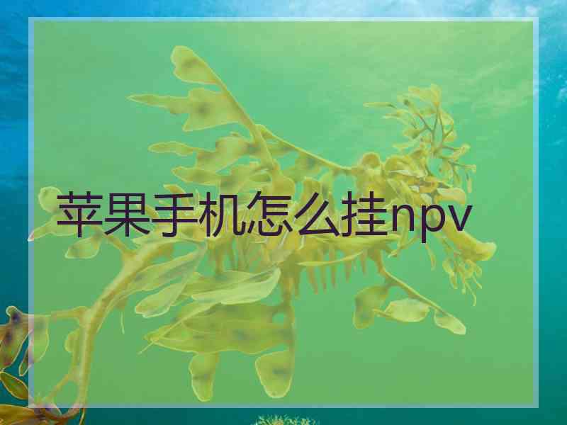 苹果手机怎么挂npv