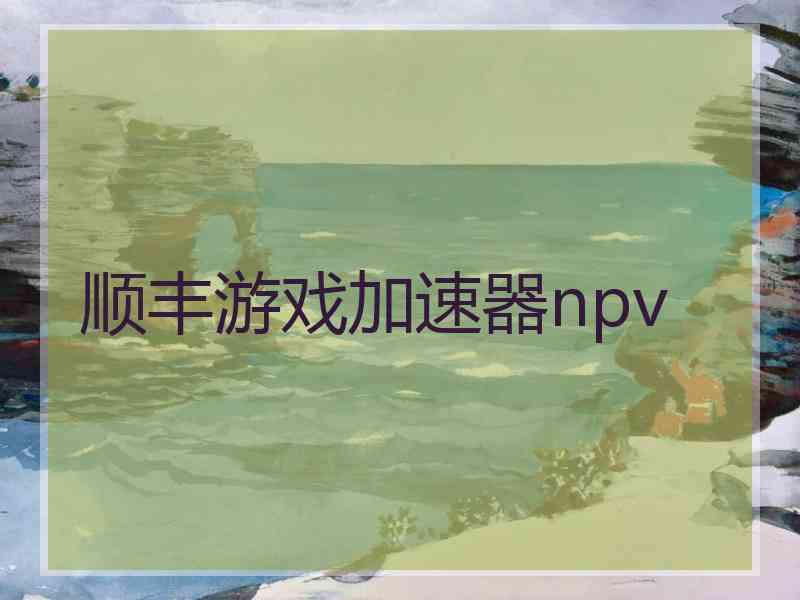 顺丰游戏加速器npv