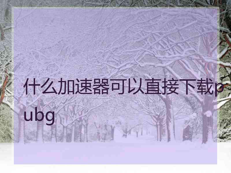 什么加速器可以直接下载pubg